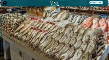 1200 جنيه.. ارتفاع جديد في أسعار الجمبري يغير موازين الأسماك اليوم الجمعة 19 ديسمبر 2025